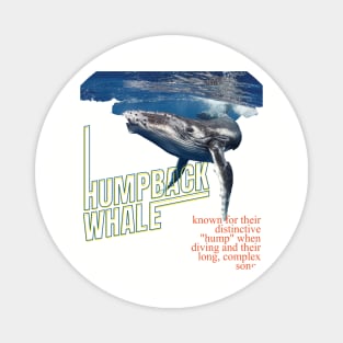 Alaska Whale Watching Magnet